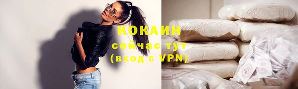 2c-b Богородицк