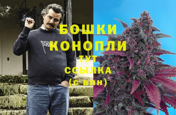 эйфоретик Богданович