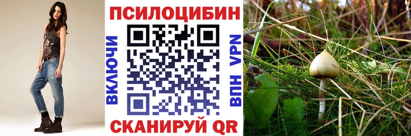Галлюциногенные грибы мицелий  Купить где  Нижняя Тура 